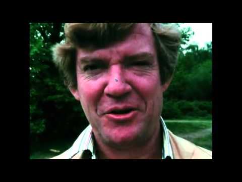 The Shock of the New: The Threshold of Liberty [Documentary on Surrealism]