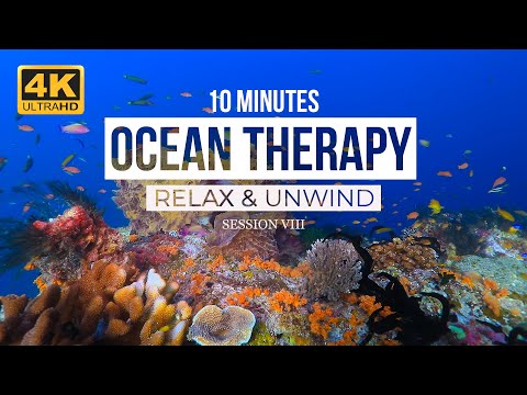 10 Minute nature RELAXATION video | OCEAN THERAPY MUSIC | Underwater Ultra HD 4K videos | Session #8
