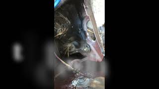 1984 cutlass windshield washer pump removed and replaced.