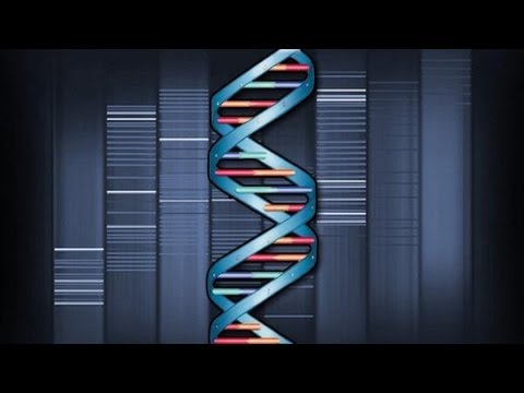 MUSIC of HISTORY - Genetic Rhythm
