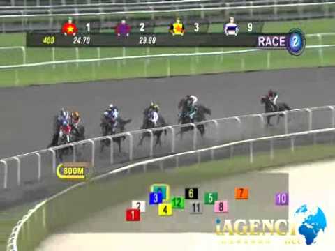 SINGAPORE RACE 12/01/2014 RACE 2 - iAgencyNet.com