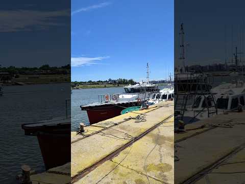 Puertito del Buceo #puerto #montevideouruguay #yachtclub