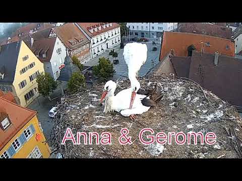 Anna i Gerome - Höchstadt, Niemcy 14.10.2021