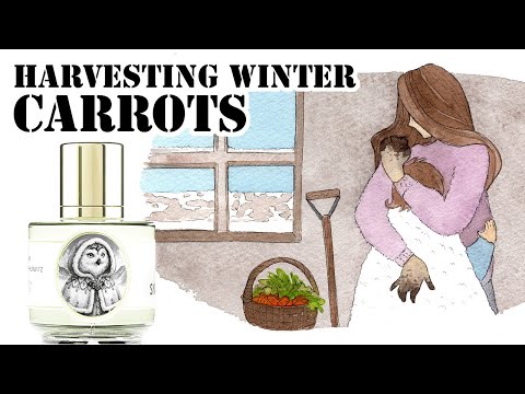 Snowy owl by Zoologist. Is this the perfect snowy perfume?