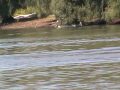 Danube Delta