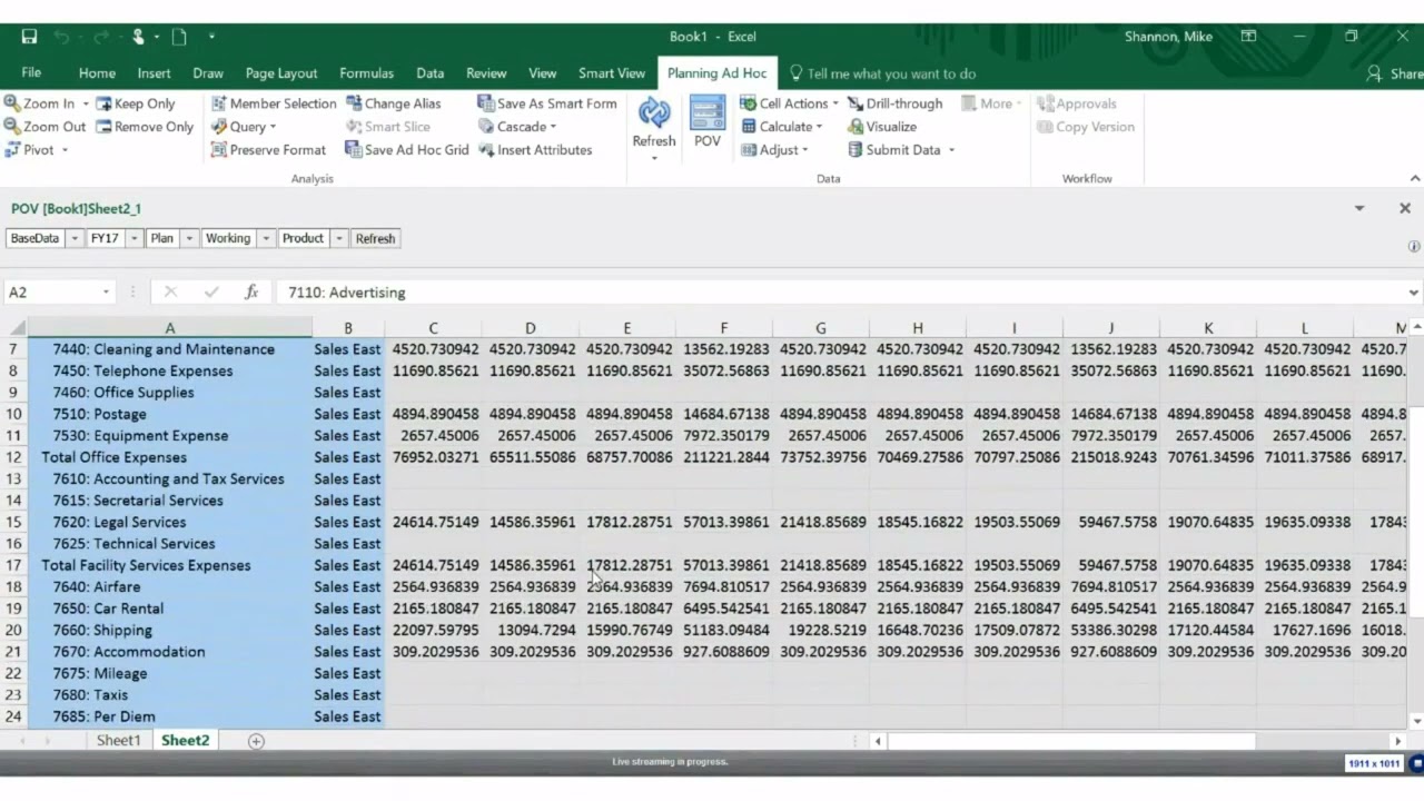 NSPB Reports PDF, HTML & Excel SmartView