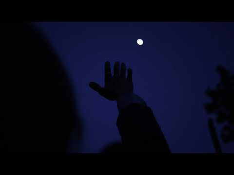 The Red Jumpsuit Apparatus and Randy Winter