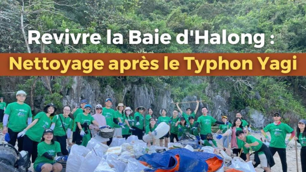 Nettoyage de la baie d'Halong après le typhon Yagi 
