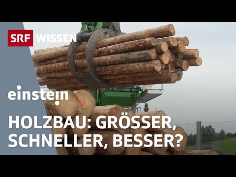 Holz: Bauen für die Zukunft? | Einstein | SRF Wissen
