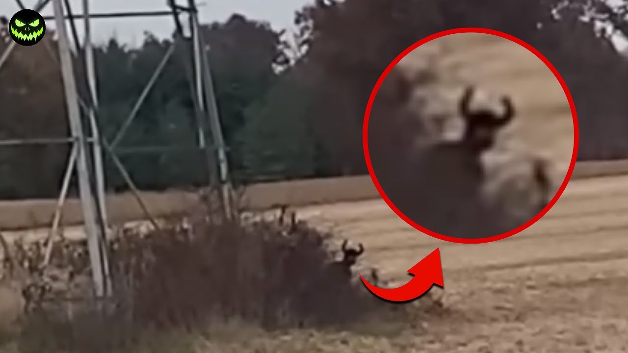 6 Disturbing Real Encounters Caught on Camera in the Woods! Esp. Halloween 2024 🎃 Ep.3/4