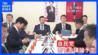 再審＝裁判のやり直し制度めぐり激論　自民党内「抗告」で意見対立　稲田朋美元政調会長ら「審理の長期化につながる」と禁止求める｜TBS NEWS DIG