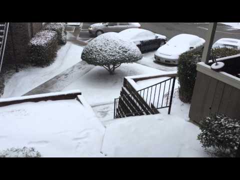 Snow Daze 2015. A short Film by 7evenThirty.