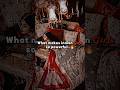 What Makes Indian Girls So Powerful Shorts India