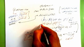 صورة 31 🔦 بصيرة الضمير  نا