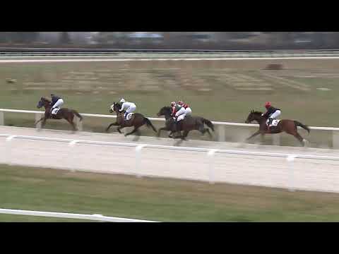 2020.12.27. 02. futam - HAVANNA HENDIKEP (II.o.) (szintetikus pálya)