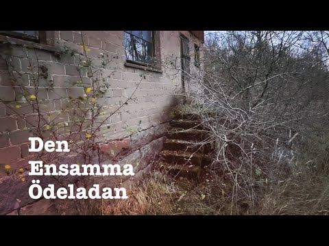 DEN ENSAMMA ÖDELADAN norr om GAMLA RIKSVÄGEN - Ronneby - 2022-11-07 - Blekinge