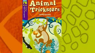 Animal Tricksters - Monkey & Mango Island | Candy Gourlay