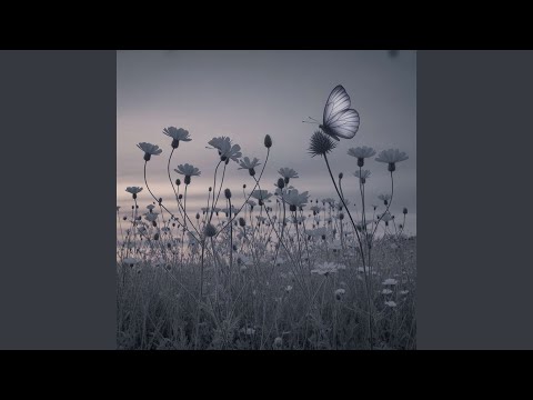 Beneath the Same Sky