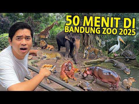 50 MENIT DI KEBUN BINATANG BANDUNG 2025! GAK NYANGKA SEKARANG UDAH SEBAGUS INI! BANDUNG ZOO!