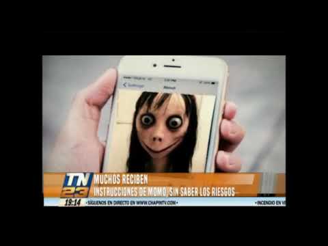 Muchos reciben instrucciones de Momo, sin saber los riesgos