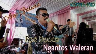 Download lagu ATEP GALURA Ngantos waleran MEDLEY Ros Bodas Live PALINTANG UJUNG BERUNG mp3 Download lagu ATEP GALURA Ngantos waleran MEDLEY Ros Bodas Live PALINTANG UJUNG BERUNG mp3