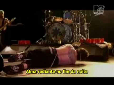 Red Hot Chili Peppers - Search And Destroy - legendado ( Olympia 2002)