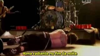 Red Hot Chili Peppers - Search And Destroy - legendado ( Olympia 2002)