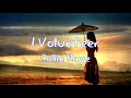 I Volunteer - Collin Raye (Lyrics Video)