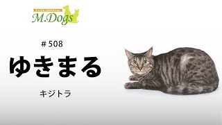 ペットモデル ゆきまる