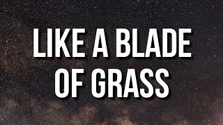 Jack Harlow - Like A Blade Of Grass (Lyrics)