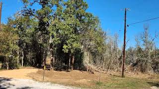 SOLD!! $ 115,000 - Lot 13 Peace Pipe, Smithville, TX