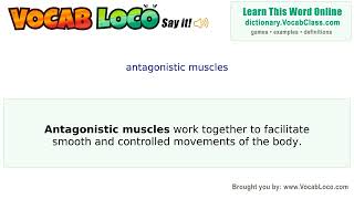 Video thumbnail for antagonistic muscles