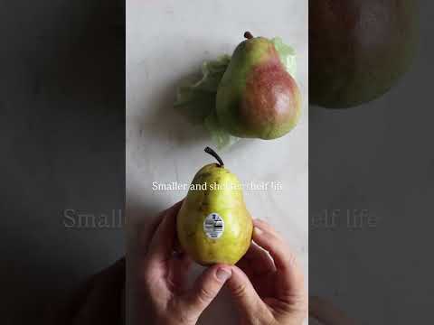 Store-Bought vs. Royal Riviera Pears