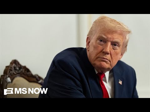 'They have no place to go but to cheat': Redistricting chief on GOP efforts