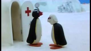 Pinguin - Toth 7 video