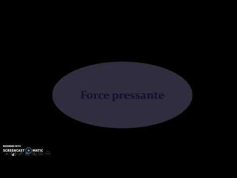 Description d'un fluide au repos