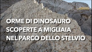 Download lagu Thousands of dinosaur tracks discovered in Stelvio National Park: the richest site in the Alps mp3 Download lagu Thousands of dinosaur tracks discovered in Stelvio National Park: the richest site in the Alps mp3