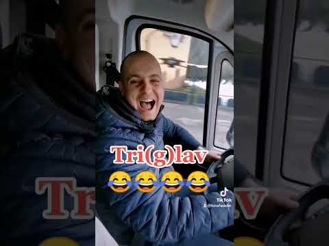 Lav iz Srbije - Tuna Fasader