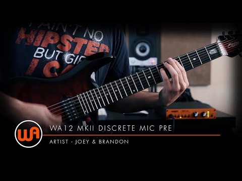 Warm Audio // Joey & Brandon - Warm Audio WA12 Review - The best budget mic pre!?