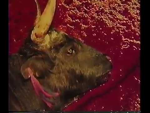 Seeing for Himself (1990) Documentary Photographer William Albert Allard