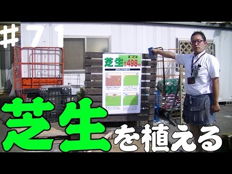 秋に芝生を再構築して、緑豊かな外観にするにはどうすればよいでしょうか?完全ガイド  庭園