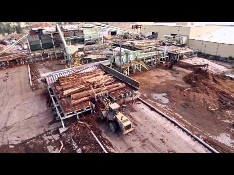 download lagu mp3 mp4 Humboldt Redwood Company, download lagu Humboldt Redwood Company gratis, unduh video klip Humboldt Redwood Company