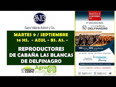 en VIVO  - REMATE de CABAÑA LAS BLANCAS  - MARTES 9 / SEPT. / 2025 -