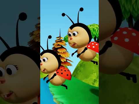 La Coccinella Bella 🐞 🐞 Canzoni Per Bambini @canzoniperbambi