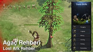 Lost Ark Ağaç Rehberi - Logging System