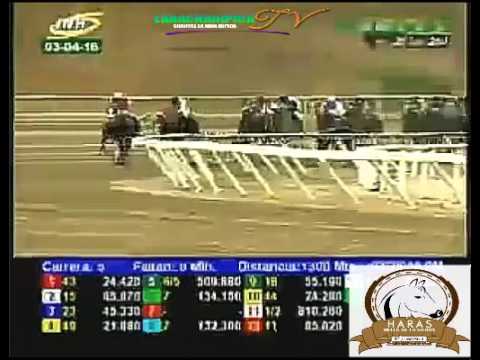 LA RINCONADA 5 CARRERA, DOMINGO 03 DE ABRIL DEL 2016