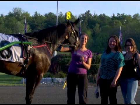 2012 O'Brien Award Nominees - Older Trotting Mare