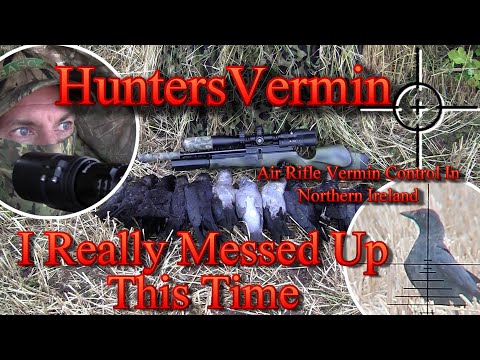 Air Rifle Hunting, I Really Messed Up This Time