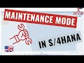 Setting Up S 4HANA Maintenance Mode SECPOL SMAINTENANCE Tutorial For Administrators English