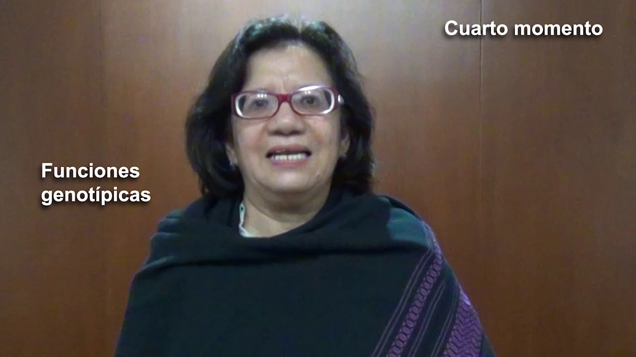 Teoría de sistemas, Unidad 2